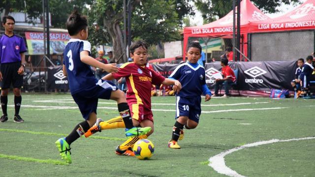 Liga Bola Indonesia 2016