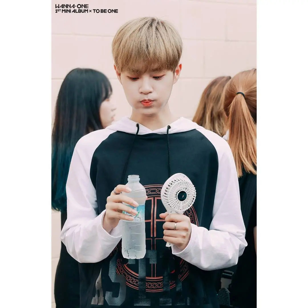	Sumber: Instagram/ wannaone.official