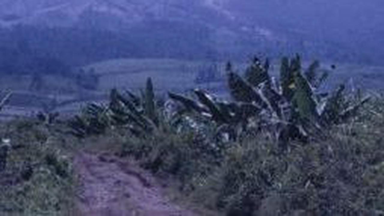 7. Pasar Setan Gunung Argopuro<br>