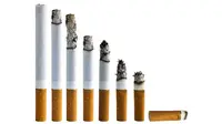 Kemenkeu melalui Badan Kebijakan Fiskal (BKF) sudah memberi sinyal bakal kembali menaikkan cukai rokok untuk tahun depan.