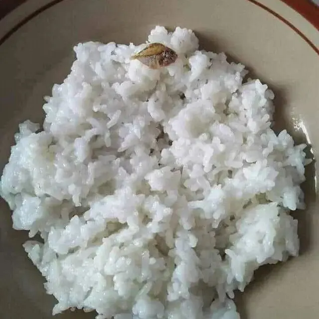 6 Makanan dengan Nasi Porsi Irit Ini Bikin Heran, Sekali Suap Langsung Habis