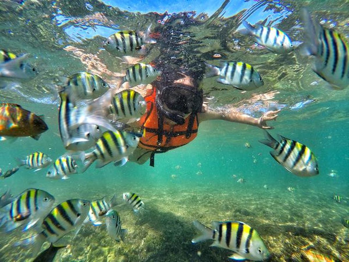 25 Tempat Wisata Gunungkidul yang Lagi Hits 2025, Bikin Liburan Akhir Tahun Berkesan