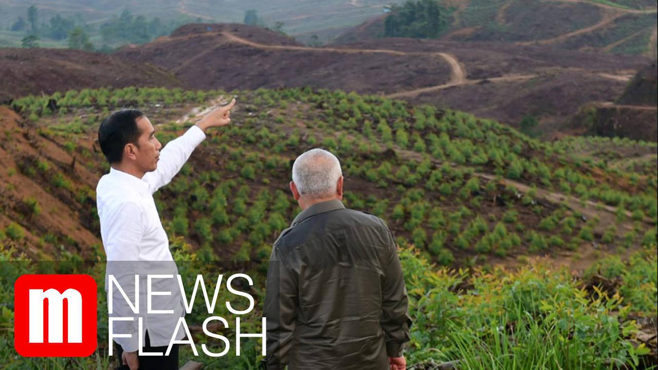 VIDEO: Presiden Jokowi Pamerkan Lokasi Bakal Ibu Kota Baru