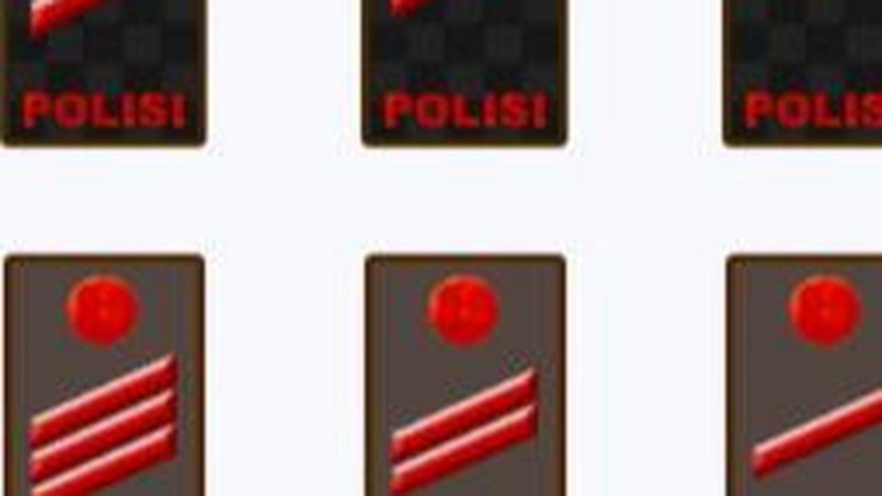 Pangkat Polisi Tamtama