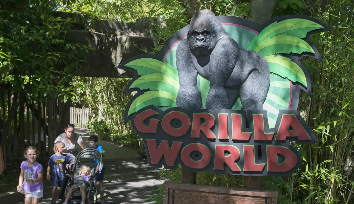 Pengunjung memasuki kawasan Kebun Binatang Cincinnati, Ohio, AS, Selasa (29/5). Seekor gorila bernama Harambe terpaksa ditembak mati karena menarik seorang bocah yang jatuh ke kandangnya. (AP Photo)