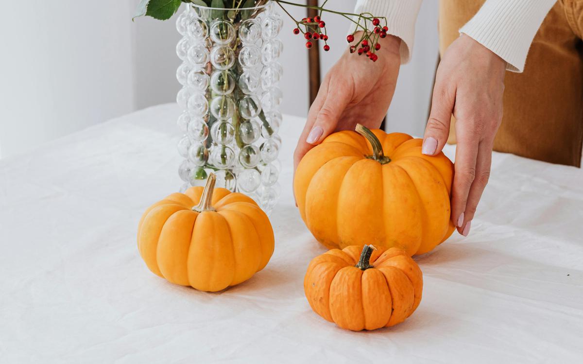 3 Jenis Labu yang Berbeda, Kenali Perbedaan Labu Parang, Kabocha, dan Butternut Pumpkin dan Resep Olahannya