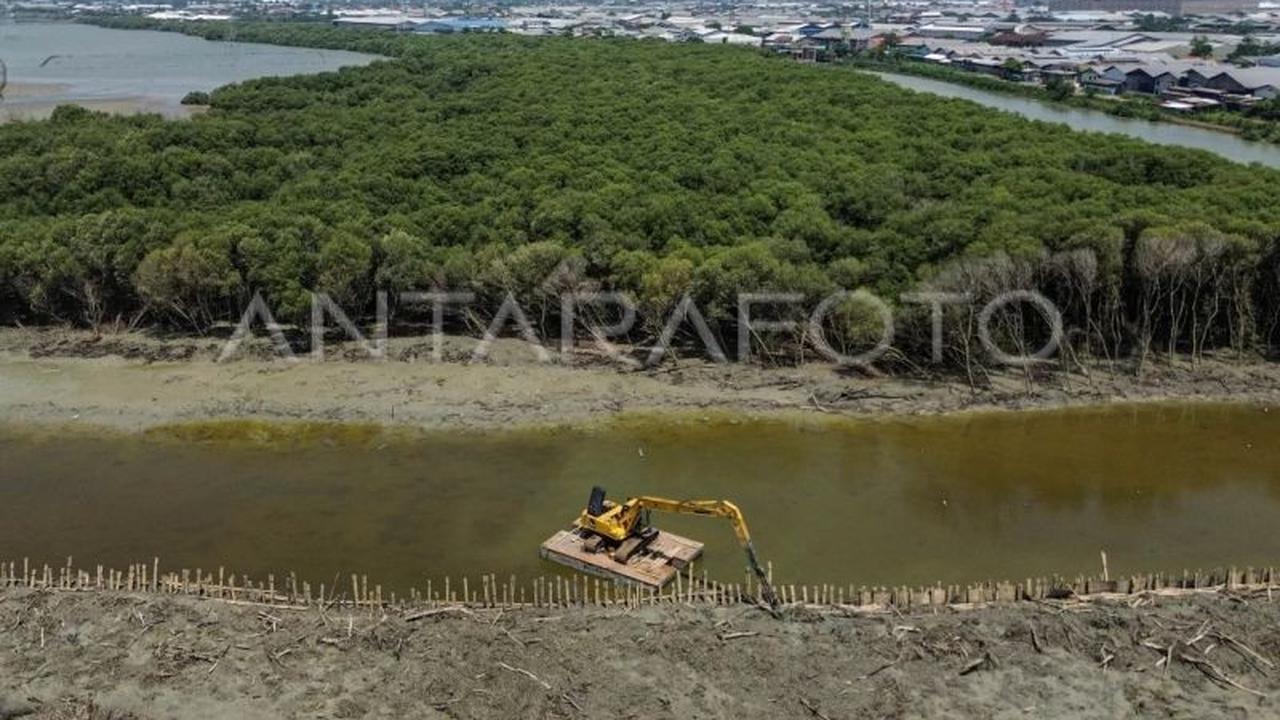 Indonesia Percepat Implementasi Karbon Biru untuk Transisi Iklim Global