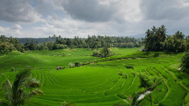 Ilustrasi wilayah Indonesia