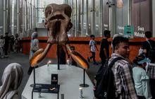 FOTO: Museum Nasional Jadi Alternatif Warga untuk Habiskan Libur Lebaran 2025, Segini Harga Tiketnya!