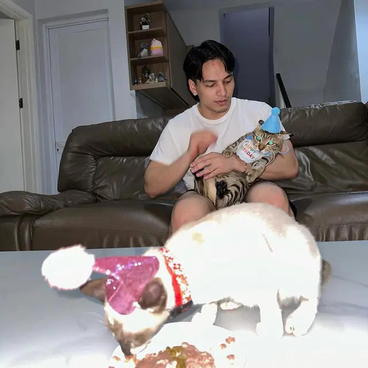 Potret Rumah Jefri Nichol, Minimalis Modern yang Nyaman dengan Nuansa Putih Abu