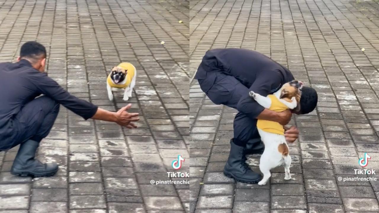 Pinat, French Bulldog Bali yang Viral