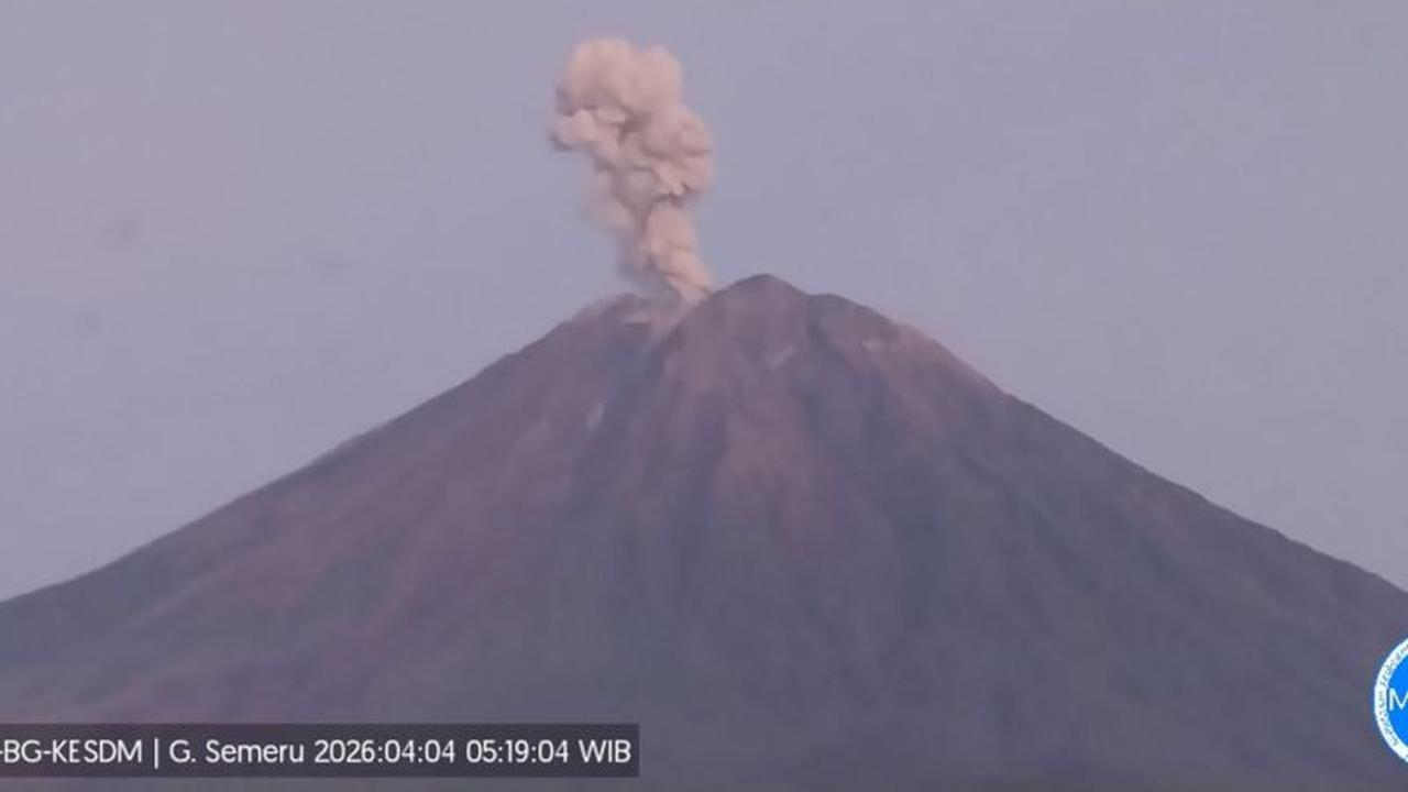 Gunung Semeru Erupsi Sembilan Kali, Kolom Abu Capai 1.000 Meter di Atas Puncak