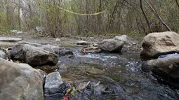 Lokasi bunuh diri aktor Glee, Mark Salling (35), di area hutan dekat Tujunga, daerah tempat tinggalnya di Sunland, Los Angeles, Selasa (30/1). Pemeran Noah ‘Puck’ Puckerman itu dinyatakan tewas pada Selasa (30/1) pukul 9.00 waktu setempat. (AP/Reed Saxon)