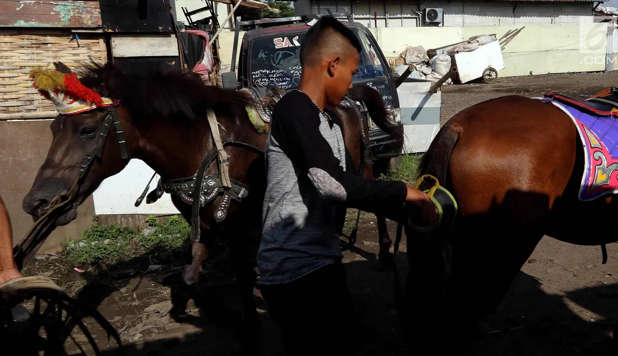 Kusir menyiapkan andong untuk wisatawan di Kelurahan Jatinegara, Kec Cakung, Jakarta, Sabtu (27/1). Dengan menarik andong setiap harinya rata-rata kusir mendapatkan antara 30 - 100 ribu perharinya untuk menghidupi keluarganya. (Liputan6.com/Johan Tallo)