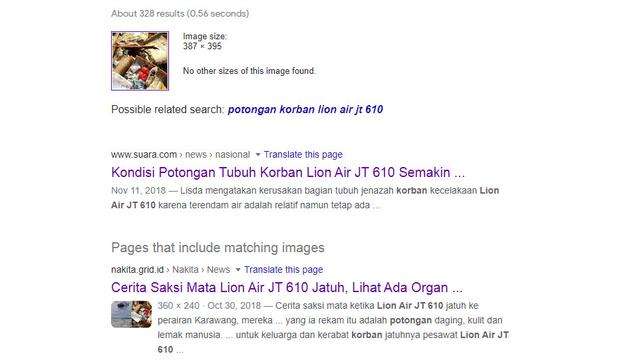 Hasil penelusuran Google Image