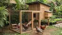 10 Desain Kandang Ayam dengan Area Umbaran Mini, Bikin Ternak Lebih Sehat