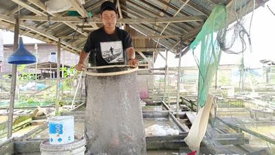 Sokongan Bantuan Pakan Ikan Kaltim Jamin Kelangsungan Usaha Pembudidaya