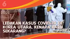 Korea Utara memang beda. Ketika sejumlah negara dunia mulai melonggarkan protokol kesehatan, negara Komunis tersebut malah baru melaporkan ledakan kasus COVID-19, setelah 2 tahun pandemi.

Sekitar 1,48 juta orang telah terinfeksi Virus Corona sejak...