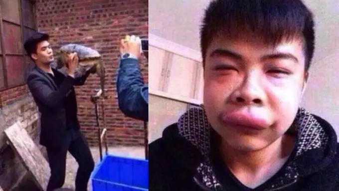 Foto: copyright rocketnews24.com