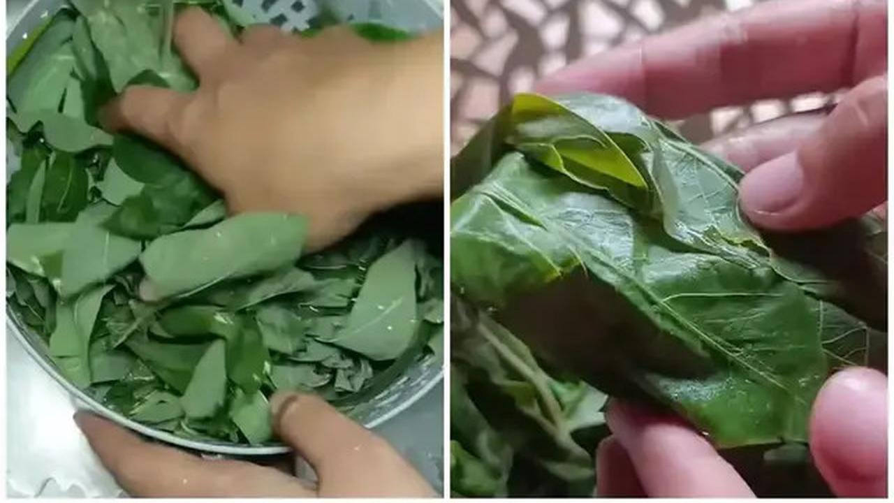 Cara Merebus Daun Singkong Agar Cepat Empuk &amp; Tetap Hijau dalam 7 Menit