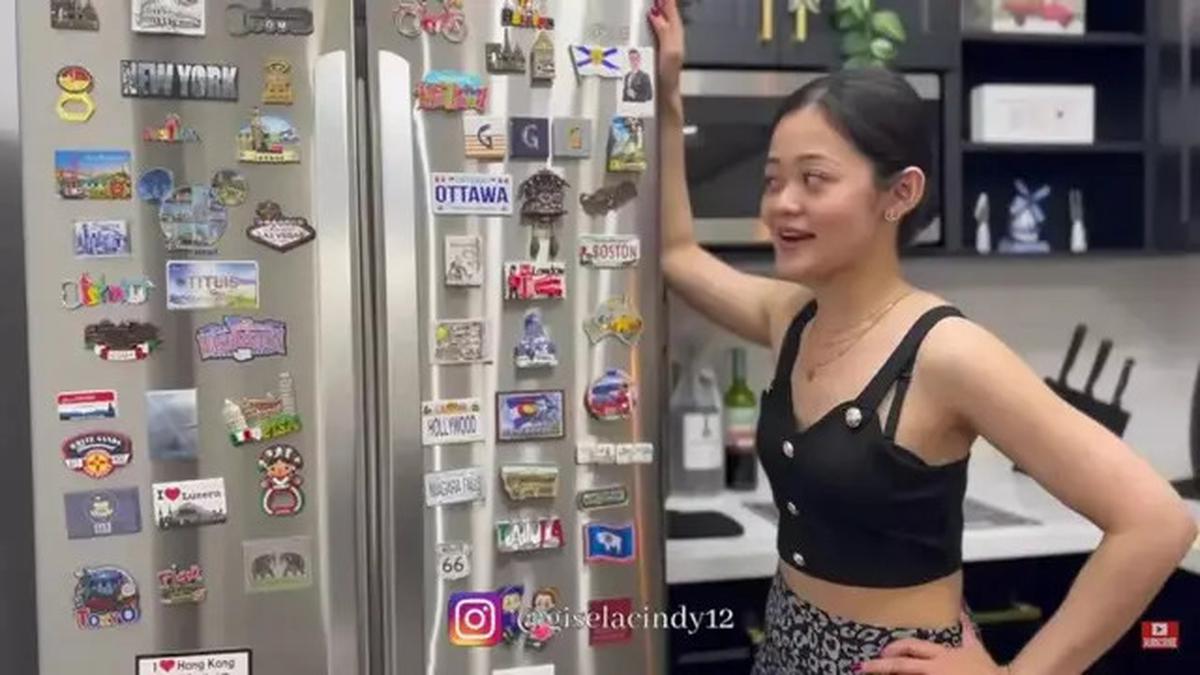 Potret Dapur Modern Gisela Cindy di Apartemennya di Kanada, Punya Model Minimalis