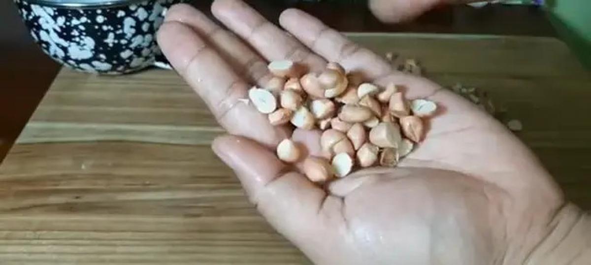 Resep Rempeyek Renyah Tanpa Gagal, Ternyata Santan dan Tepung Maizena Kuncinya