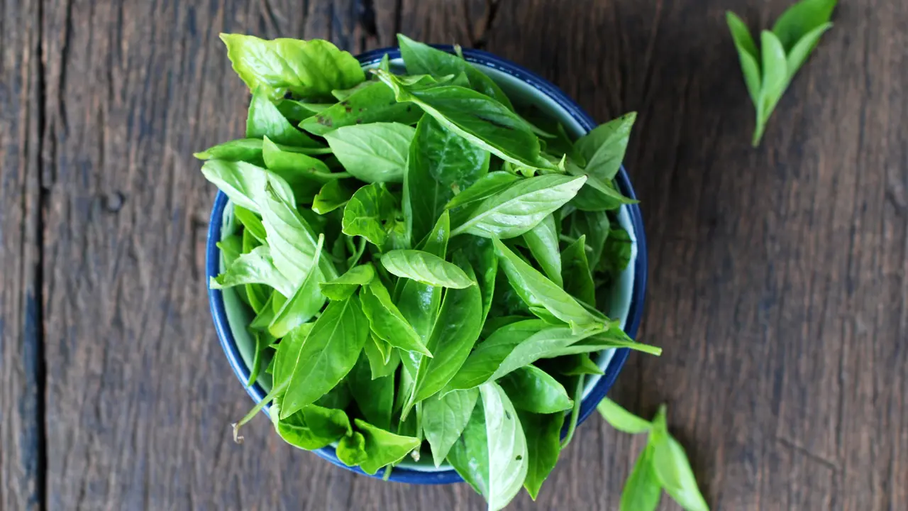 Daun Kemangi