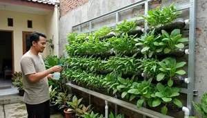 Trik Pasang Rangka Spasi 5 Cm pada Kebun Botol Vertikal, Cegah Tembok Rumah Lembap dan Berjamur Hitam
