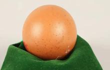 Satu Butir Telur Ayam Dijual Seharga Rp 4 juta, Ini yang Membuatnya Spesial
