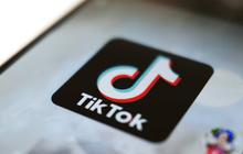 Tata Cara Membuat Video dengan Kungfu AI yang Viral di TikTok, Mudah dan Praktis