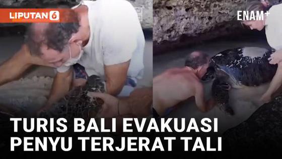 VIDEO: Turis Bali Evakuasi Penyu Terjerat Tali Jadi Perhatian Sandiaga Uno