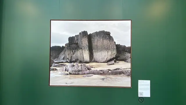 Karya Jan O’Connell