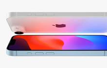 iPhone SE 4 Siap Rilis, Cek Spesifikasi dan Prediksi Harganya