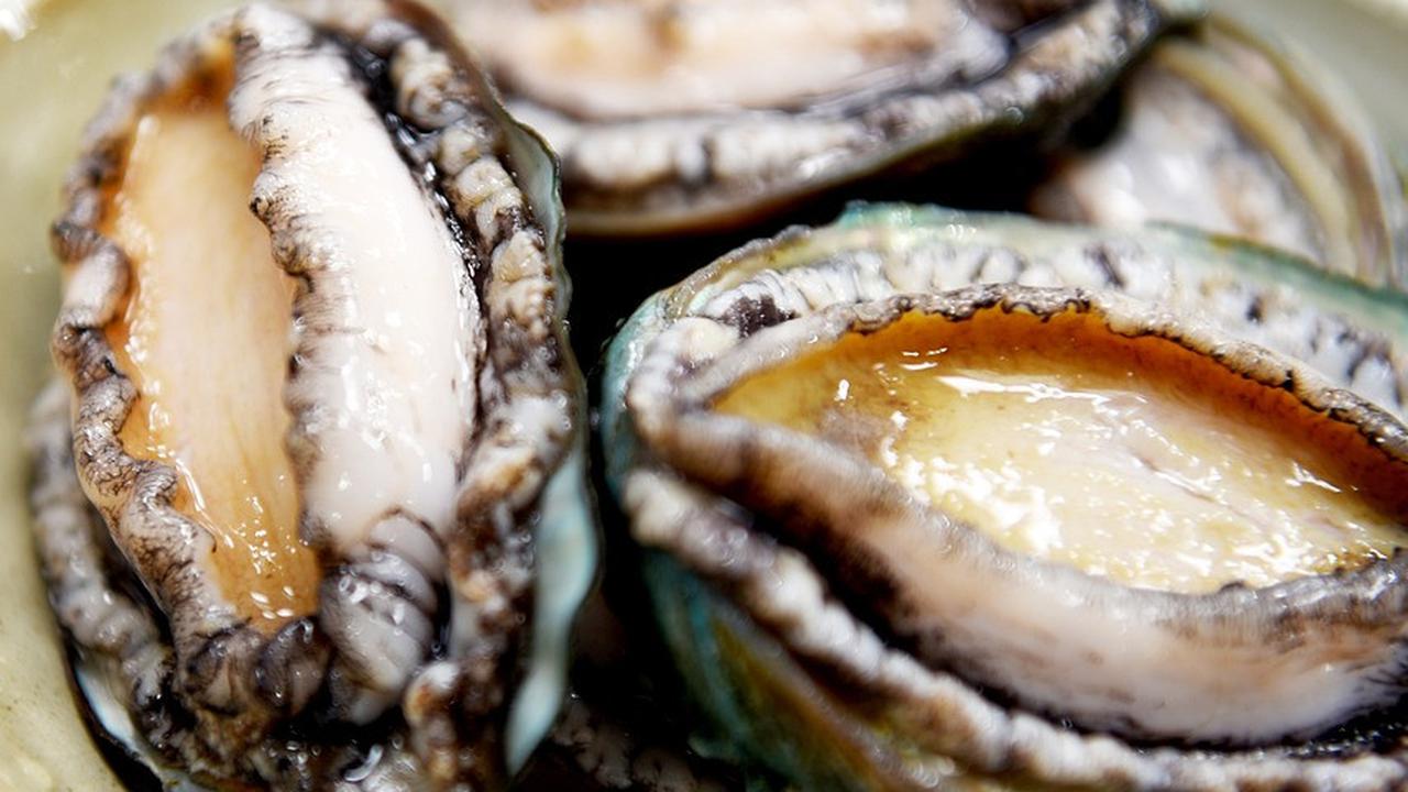 11 Manfaat Kerang Abalon untuk Kesehatan, Perhatikan Cara Pengolahannya