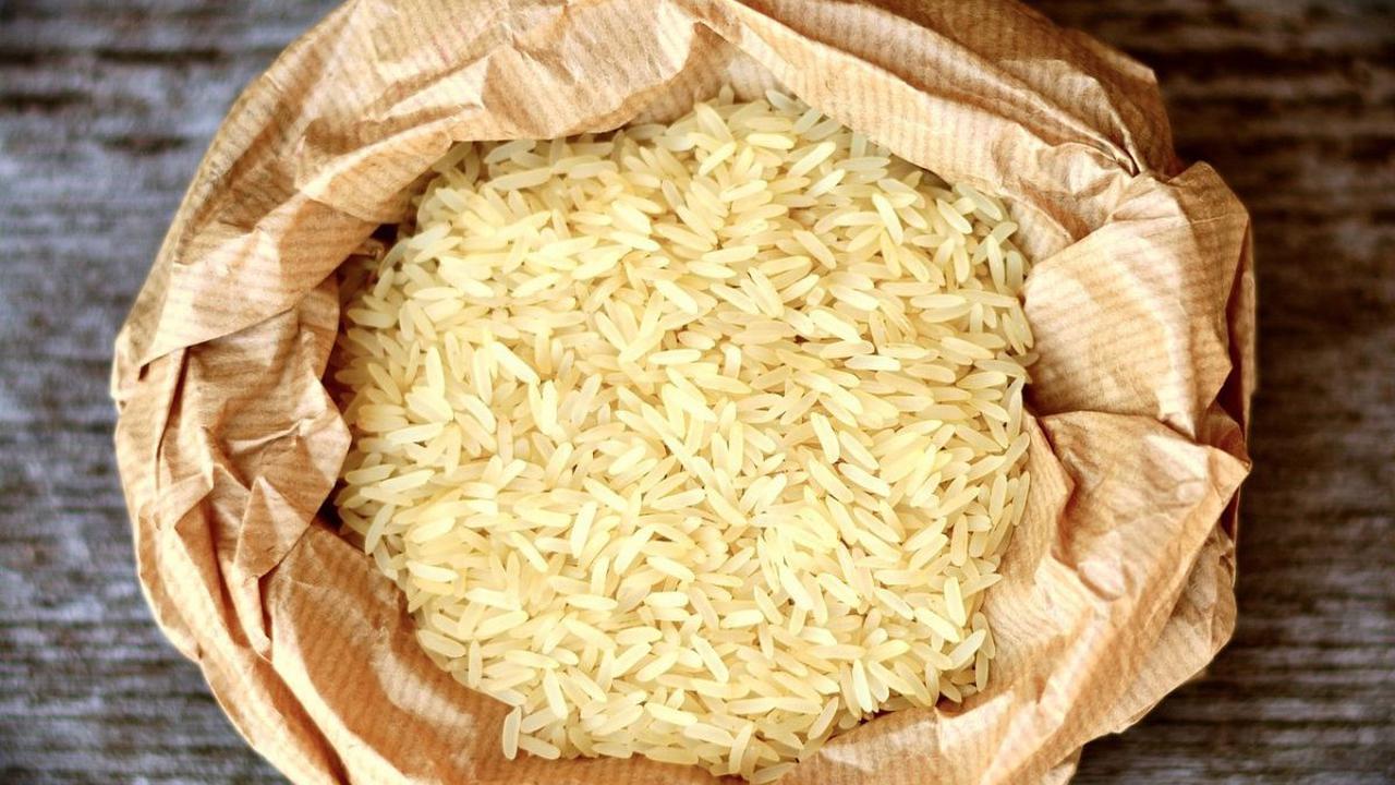 Cara Membangun Food Estate