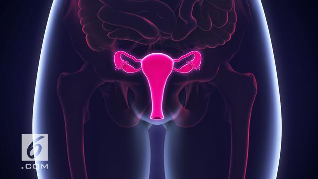 Vagina