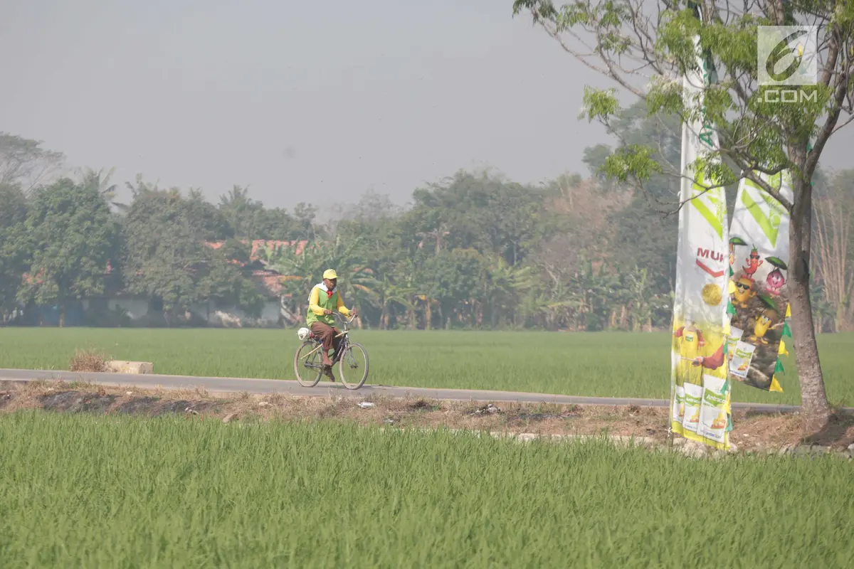 Lahan Baku Sawah