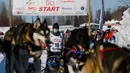 Christopher Parker, seorang pemula dari Fairbanks, meninggalkan garis Iditarod Sled Dog Race di Deshka Landing di Willow, Alaska, Minggu (7/3/2021). Tim anjing dipimpin oleh para pengemudi yang dikenal sebagai mushers berlari melintasi jalan-jalan bersalju. (Marc Lester/Anchorage Daily News via AP)