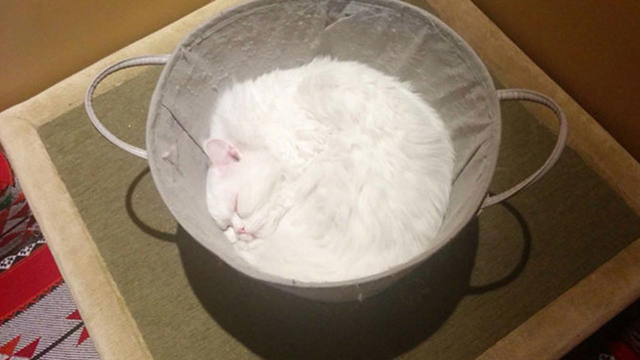 8 Potret Ini Mesti Anda Lihat Dua Kali Baru Bisa Paham