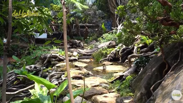 Bak Kebun Binatang, Ini 7 Potret Kandang Burung Milik Irfan Hakim