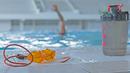 Kacamata renang dan botol minum milik atlet Polo Air Putra Indonesia saat berlatih di Aquatic Center, Senayan, (07/03/2018). Latihan ini meupakan persiapan Asian Games 2018. (Bola.com/Nick Hanoatubun)