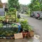 8 Ide Kolam Mini dari Barang Bekas Beserta Pilihan Ikan yang Cocok