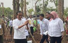 Antam Ikut Dampingi Jokowi dalam Tanam Pohon Bersama