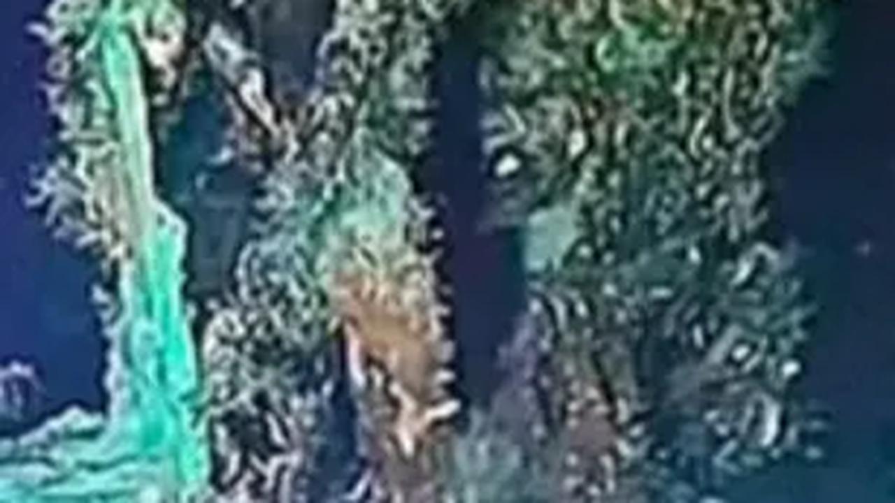 Persaingan Klaim dari Berbagai Pihak<br>