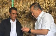 FOTO: NTB Diproyeksikan Jadi Pilar Jagung dan Bawang Putih Nasional