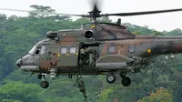 Helikopter Super Puma. (www.diecastaircraftforum.com)
