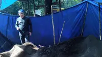 Ridwan Kamil kunjungi gajah sekarat di Bandung (Liputan6.com / Okan Firdaus)