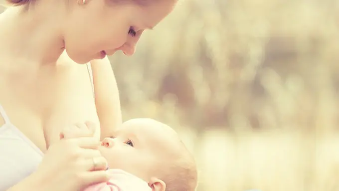 Foto: Copyright Shutterstock.com