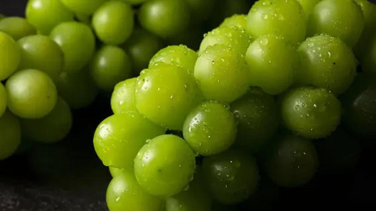 Kementan Bakal Hentikan Impor Anggur Shine Muscat Bila Hasilnya Berbahaya