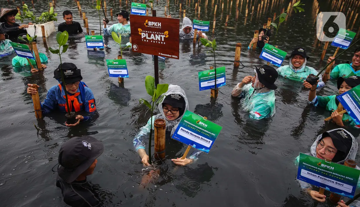 Dalam rangka memperingati Hari Pohon Sedunia yang jatuh pada 21 November lalu, Badan Pengelola Keuangan Haji (BPKH) melakukan kegiatan penanaman 1.000 pohon mangrove. (Liputan6.com/Angga Yuniar)